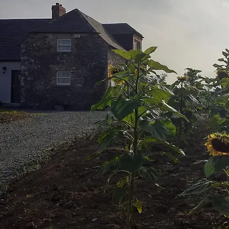 The Shepherd's 公寓