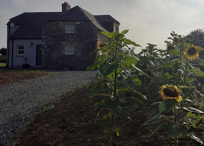 The Shepherd's דירה